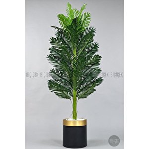 Yapay Areka Ağacı 160-180 Cm Siyahaltin170cm