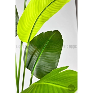 Biçiçek Yapay Muz Ağacı 145-185 Cm Siyah1 görseli 2