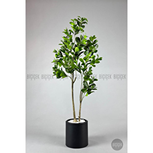 Biçiçek Yapay Manolya Ağacı 150-180cm Siyah