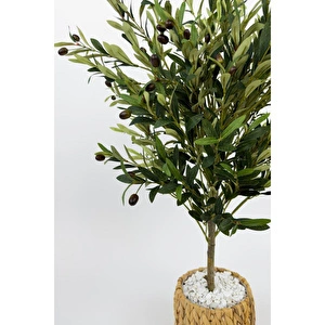 Biçiçek Zeytin Ağacı 100 Cm Hasır Bohem2 Saksıda görseli 4
