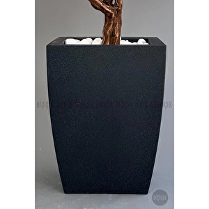 Biçiçek Bonzai Gövdeli Pembe Sakura Ağacı 100cm Dış Mekana Uygun