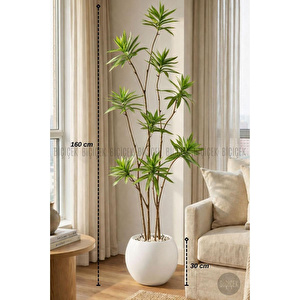160 Cm Dragon Bitkisi Yapay Dracaena Küre Saksıda Beyaz