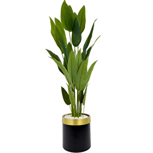Biçiçek Starliçe 220cm Metal Siyah Gold Saksıda görseli 4