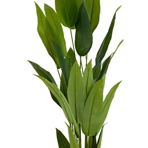 Biçiçek Starliçe 220cm Metal Siyah Gold Saksıda görseli 3