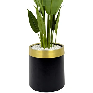 Biçiçek Starliçe 220cm Metal Siyah Gold Saksıda görseli 2