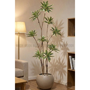 Biçiçek 160 Cm Dragon Bitkisi Yapay Dracaena Küre Saksıda Kahverengi1 görseli 5