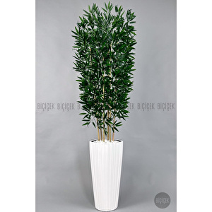 Yapay Bambu Ve Benjamin 6 Dallı Yoğun Yapraklı 220 Cm Beyazbambu