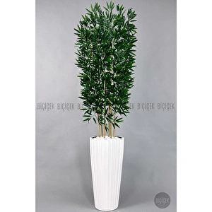 Biçiçek Yapay Bambu Ve Benjamin 6 Dallı Yoğun Yapraklı 220 Cm Beyazbambu görseli 6