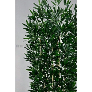 Biçiçek Yapay Bambu Ve Benjamin 6 Dallı Yoğun Yapraklı 220 Cm Beyazbambu görseli 3