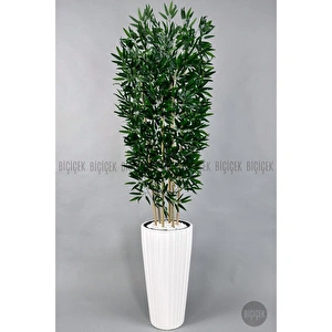 Biçiçek Yapay Bambu Ve Benjamin 6 Dallı Yoğun Yapraklı 220 Cm Beyazbambu görseli 4