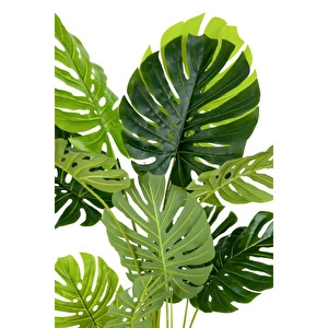 Biçiçek Monstera Ağacı 160cm Krem Gold Metal Saksıda görseli 2