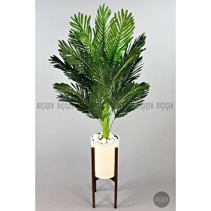 Biçiçek 150cm Areka Ağacı Ayaklı Metal Saksıda 1 görseli 6