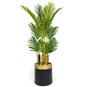 Areka Palmiyesi 160cm Metal Saksıda Black Gold