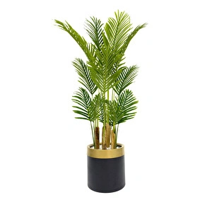 Biçiçek Areka Palmiyesi 160cm Metal Saksıda Black Gold görseli 6