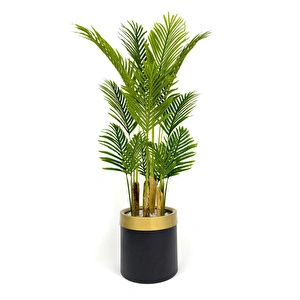 Biçiçek Areka Palmiyesi 160cm Metal Saksıda Black Gold görseli 4