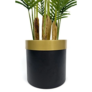 Biçiçek Areka Palmiyesi 160cm Metal Saksıda Black Gold görseli 3