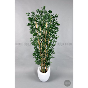 Biçiçek Zen Bambu Ağacı 220-240 Cm Fiber Saksıda Beyazfiber2 görseli 5