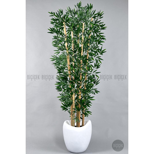 Biçiçek Zen Bambu Ağacı 220-240 Cm Fiber Saksıda Beyazfiber2 görseli 6