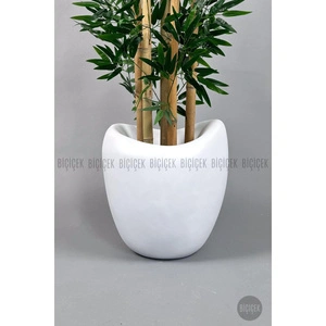 Biçiçek Zen Bambu Ağacı 220-240 Cm Fiber Saksıda Beyazfiber2