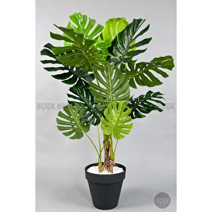 Biçiçek Yapay Ağaç Monstera Bambu Gövdeli 150cm Devetabanı Ağacı Büyük Boy Antrasit Renk Yalı Saksıda görseli 4