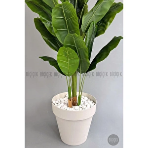 Biçiçek Yapay Ağaç Starliçe Bambu Gövdeli 220cm Büyük Boy Kırıkbeyaz Renk Yalı Saksıda görseli 4