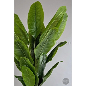 Biçiçek Yapay Ağaç Starliçe Bambu Gövdeli 220cm Büyük Boy Kırıkbeyaz Renk Yalı Saksıda görseli 5