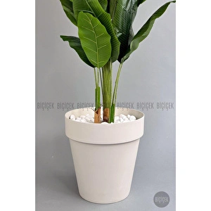 Biçiçek Yapay Ağaç Starliçe Bambu Gövdeli 220cm Büyük Boy Kırıkbeyaz Renk Yalı Saksıda görseli 6