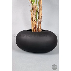 Biçiçek Areka Ağacı 220-240 Cm Siyahfiber2 görseli 2
