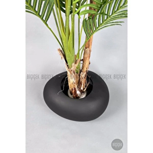 Biçiçek Areka Ağacı 220-240 Cm Siyahfiber2 görseli 4