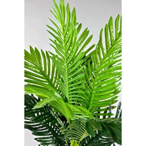 Biçiçek Yapay Areka Ağacı 160-180 Cm Beyazküre170cm görseli 6