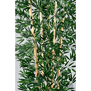 Biçiçek Zen Bambu Ağacı 220-240 Cm Fiber Saksıda Siyahfiber2