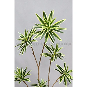 Biçiçek 160 Cm Dragon Bitkisi Yapay Dracaena Küre Saksıda Beyaz1 görseli 4