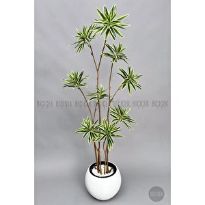 Biçiçek 160 Cm Dragon Bitkisi Yapay Dracaena Küre Saksıda Beyaz1 görseli 6