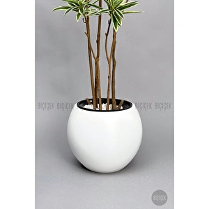 Biçiçek 160 Cm Dragon Bitkisi Yapay Dracaena Küre Saksıda Beyaz1 görseli 3