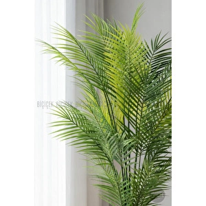 Biçiçek Areka Ağaci 24 Yaprakli 130 Cm Küre Saksida Beyaz görseli 5
