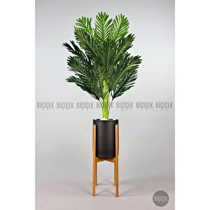 Biçiçek 150cm Areka Ağacı Ayaklı Metal Saksıda 5 görseli 6