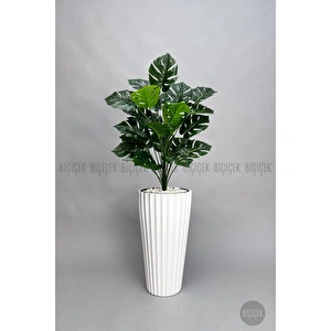 Biçiçek 130 Cm Monstera Bi̇tki̇si̇ Beyaz Li̇lyum Saksida görseli 6