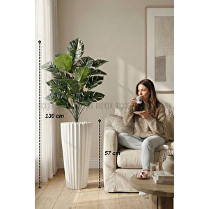 130 Cm Monstera Bi̇tki̇si̇ Beyaz Li̇lyum Saksida