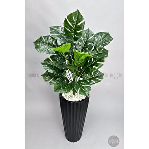 Biçiçek 130 Cm Monstera Bi̇tki̇si̇ Si̇yah Li̇lyum Saksida görseli 3