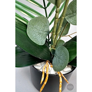 Biçiçek Yapay Phalaenopsis Orkide Buyuk Boy görseli 4