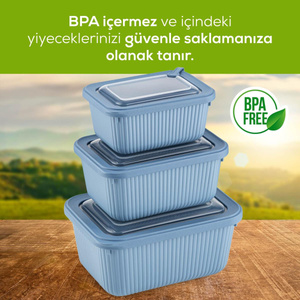 Vienev 3'lü Mikrodalga Ve Difrize Uygun Vip Kapaklı Özel Saklama Kabı Seti Mavi görseli 5