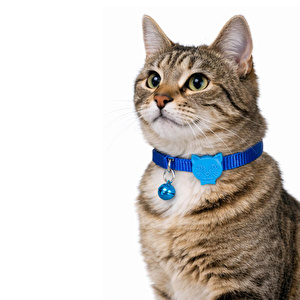 Bloominbag Swissplus Urban Paws Kedi Tasması – Deep Ocean Blue | Ayarlanabilir, Dayanıklı, Hafif-10mm
