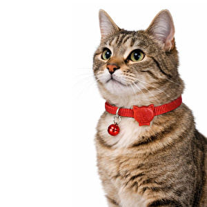 Bloominbag Swissplus Urban Paws Kedi Tasması – Crimson Red | Ayarlanabilir, Dayanıklı, Hafif-10mm
