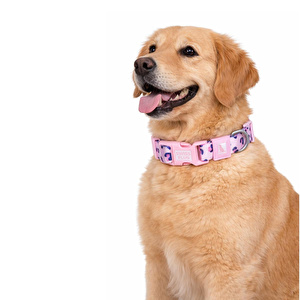 Bloominbag Swissplus Urban Paws Pink Leo Recycled Köpek Tasması - 15 Mm