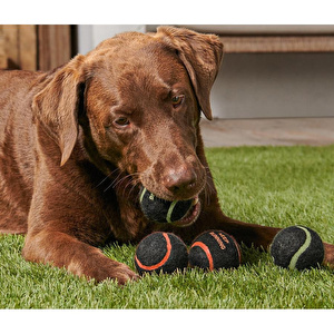 Tchibo Köpekler İçin Oyuncak Top, 4 Lü Set