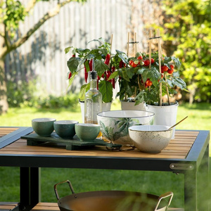 Big Green Egg Eklenebilir Frame Stant görseli 5