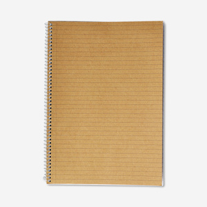 Flying Tiger Copenhagen Spiralli Çizgili A4 Defter