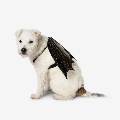 Flying Tiger Copenhagen Yarasa Şekilli Köpek Kostümü