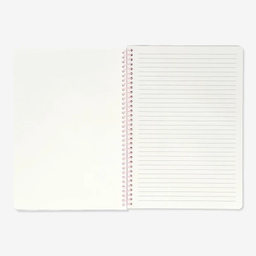 Flying Tiger Copenhagen Plastik Kapaklı Çizgili A4 Defter