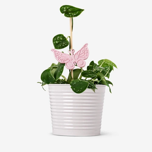 Flying Tiger Copenhagen 2'li Pembe Kelebek Şeklinde Bitki Desteği